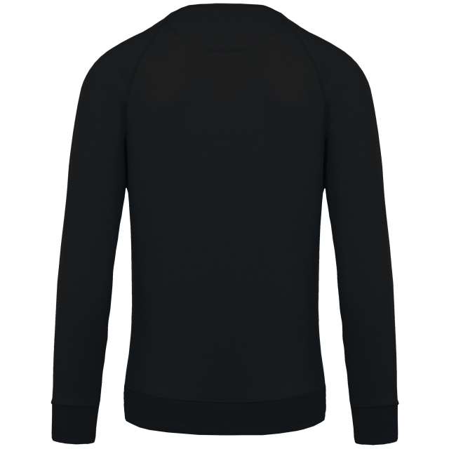 Bluza męska Organic z okrągłym dekoltem i raglanowymi rękawami